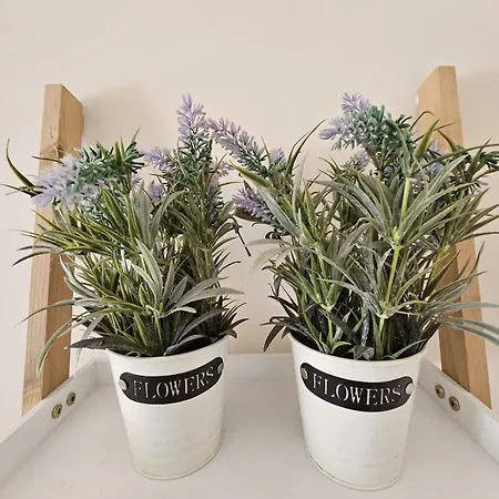 Apartament Sandy 34 Noordwijk