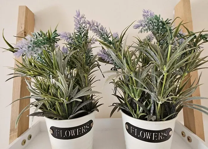 Апартаменты Sandy 34 Нордвейк-ан-Зее